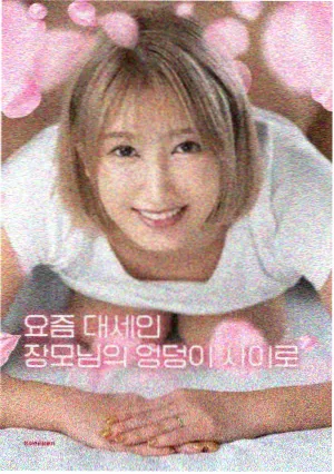 电影回声档案封面图